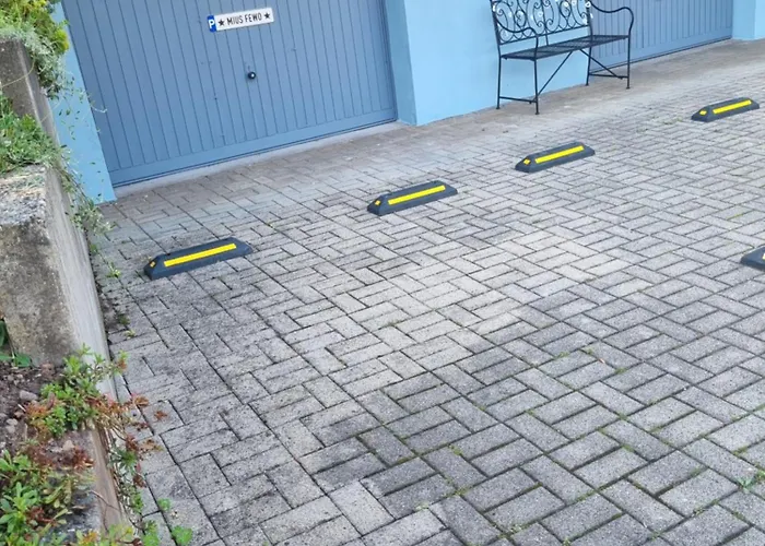 Miu\'S Roof